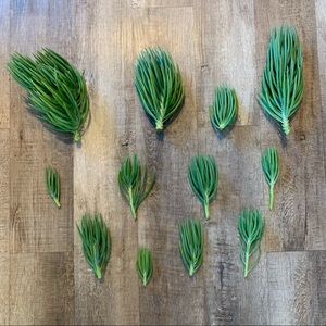 Mermaid tail succulents